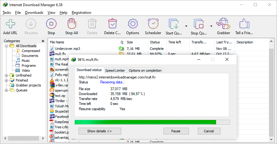 Internet Download Manager (IDM) image